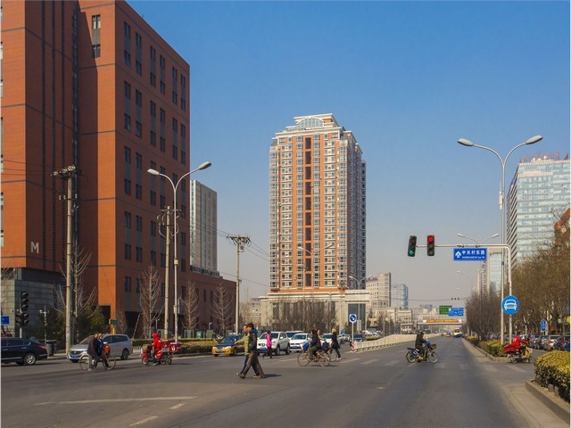 佛山种植绿化树费用是多少